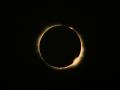 60_1981_Prominences.jpg